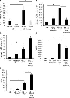 Aryl Hydrocarbon Receptor-Signaling Regulates Early Leishmania major-Induced Cytokine Expression